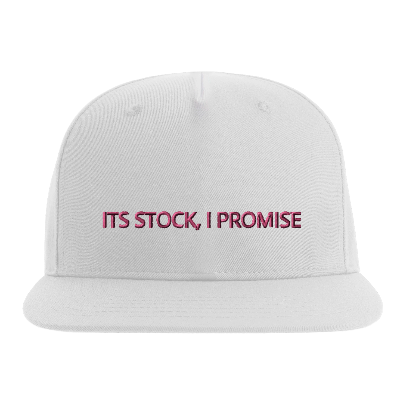 Its Stock I Promise 5 Panel Cap