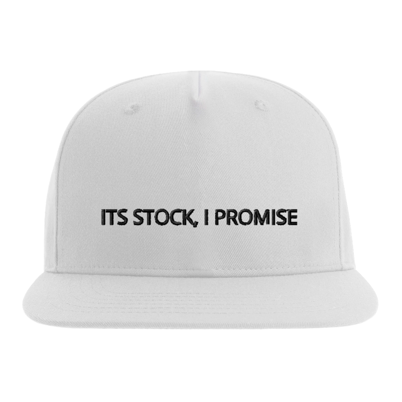Its Stock I Promise 5 Panel Cap